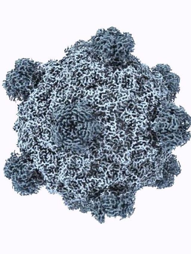 Cientistas criam novos vírus usando inteligência artificial